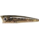 Rebel Lures Rebel Super Pop-R Topwater Bait 3 1/8in 5/16oz Floating Baby Bass