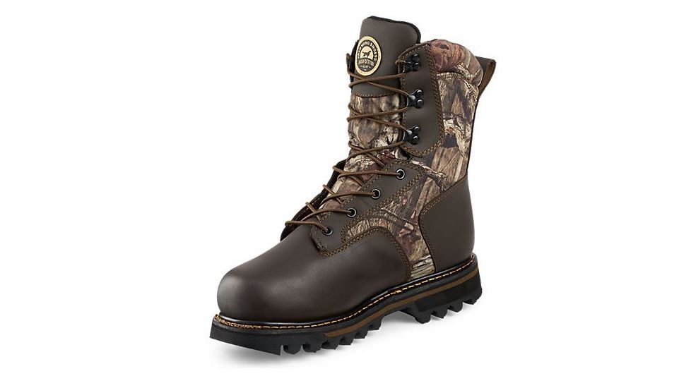 irish setter 2813