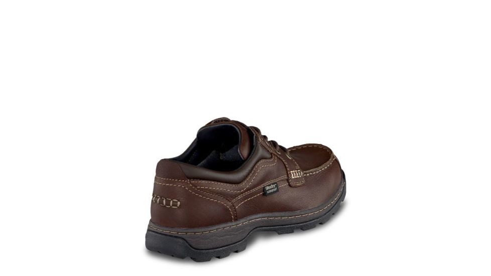 irish setter soft paw 3874
