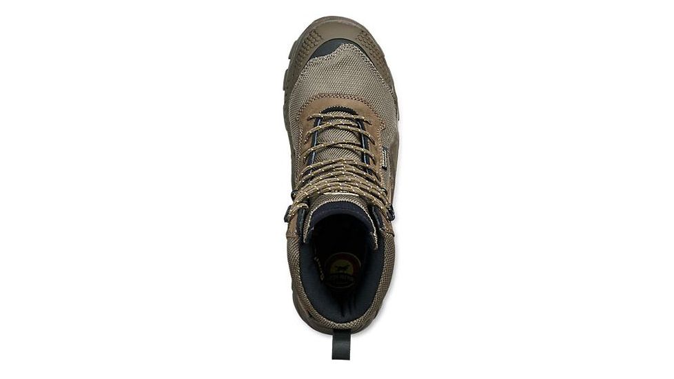 irish setter 2863