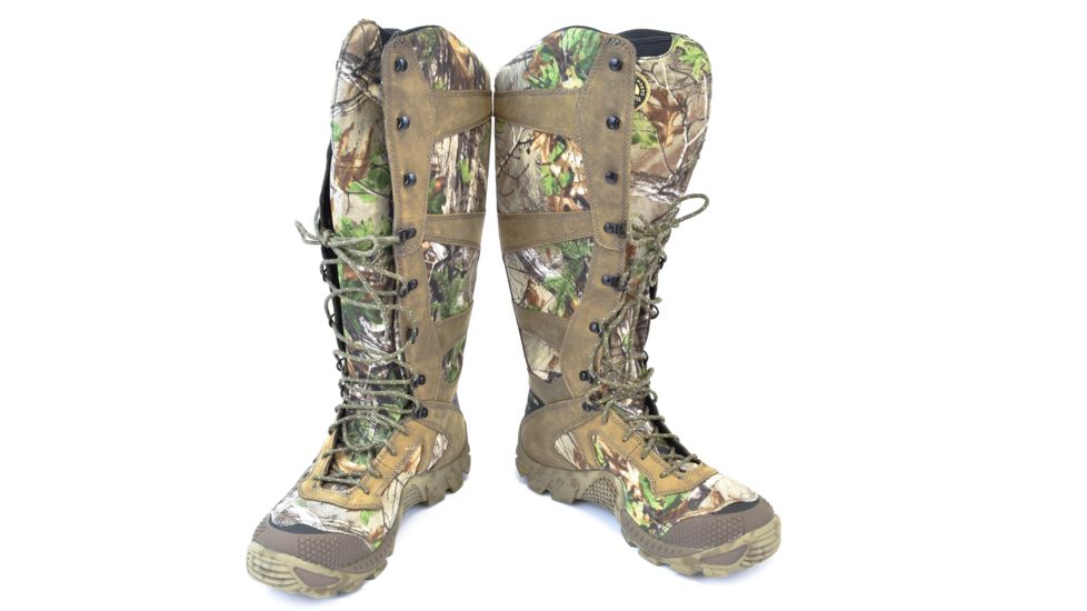 irish setter 2875