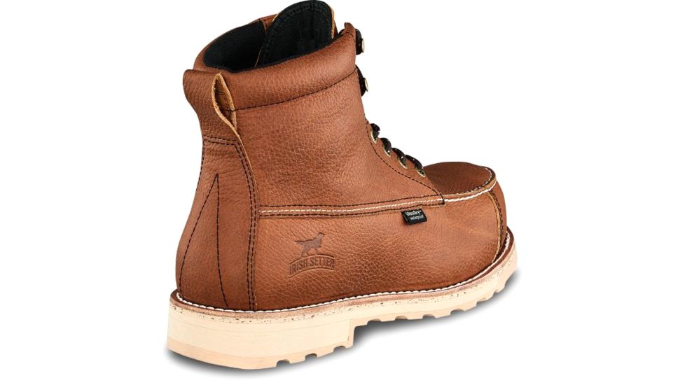 irish setter 83620