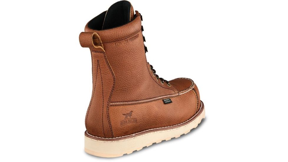 wingshooter st irish setter