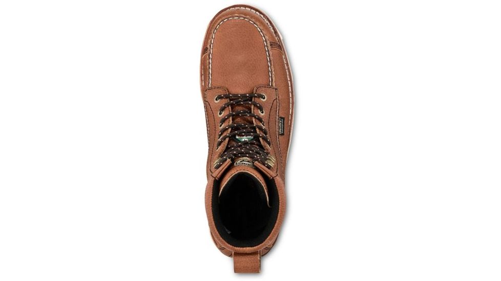 irish setter 83856