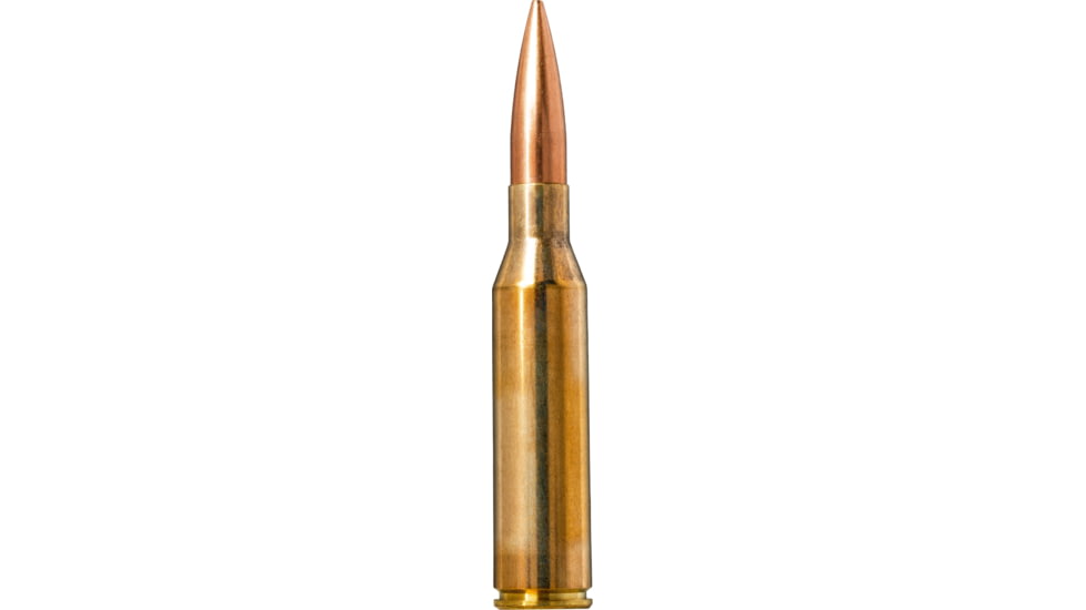 338 Norma Magnum Ammo