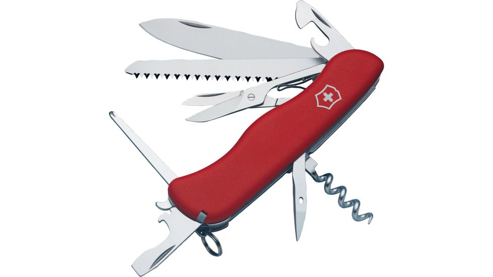 latest fastrack watches for women