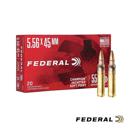 5.56x45 55 Gr JSP, 20 Rounds