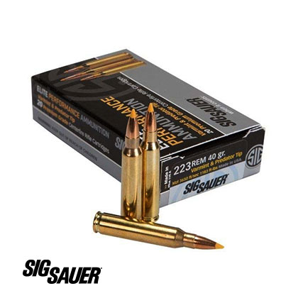 Sig Sauer