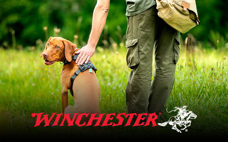 Free Leash with Winchester Pet Accessories