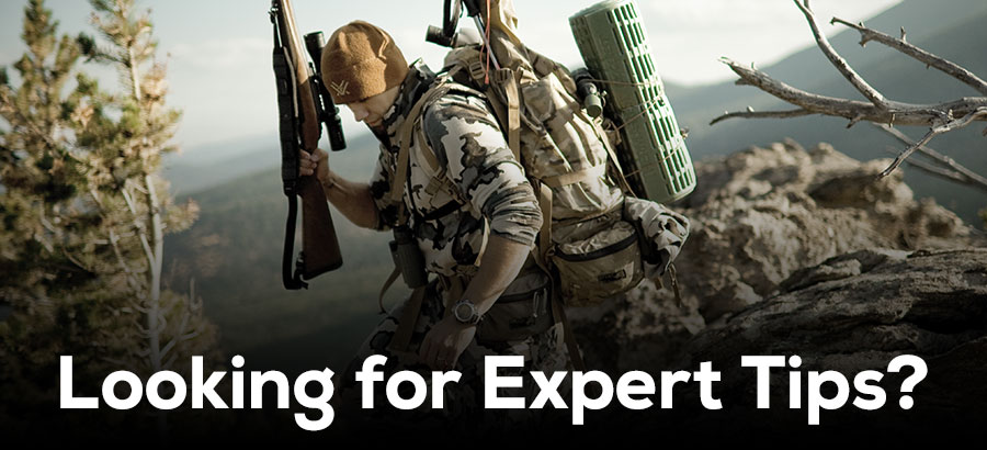 Looking for Expert Tips?