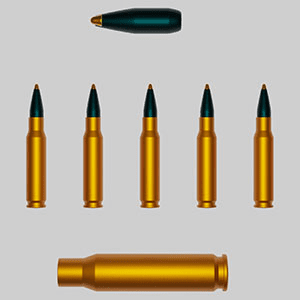 Bullet (Top), Cartridges (Middle), Shell Casing (Bottom)