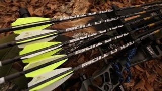 Arrow Fletchings