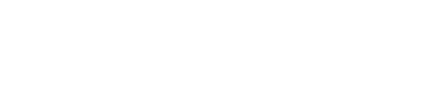 mdt--logo