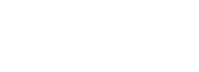 mdt--logo