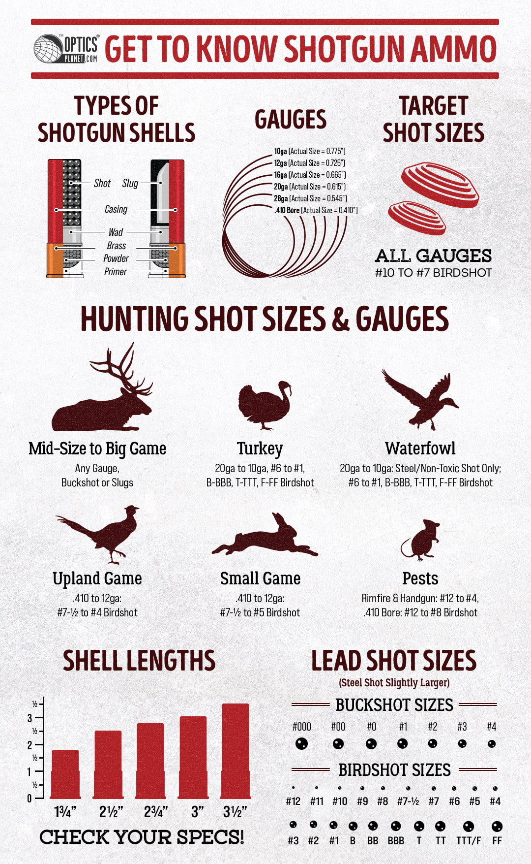 Choosing the Best Shotgun Shells