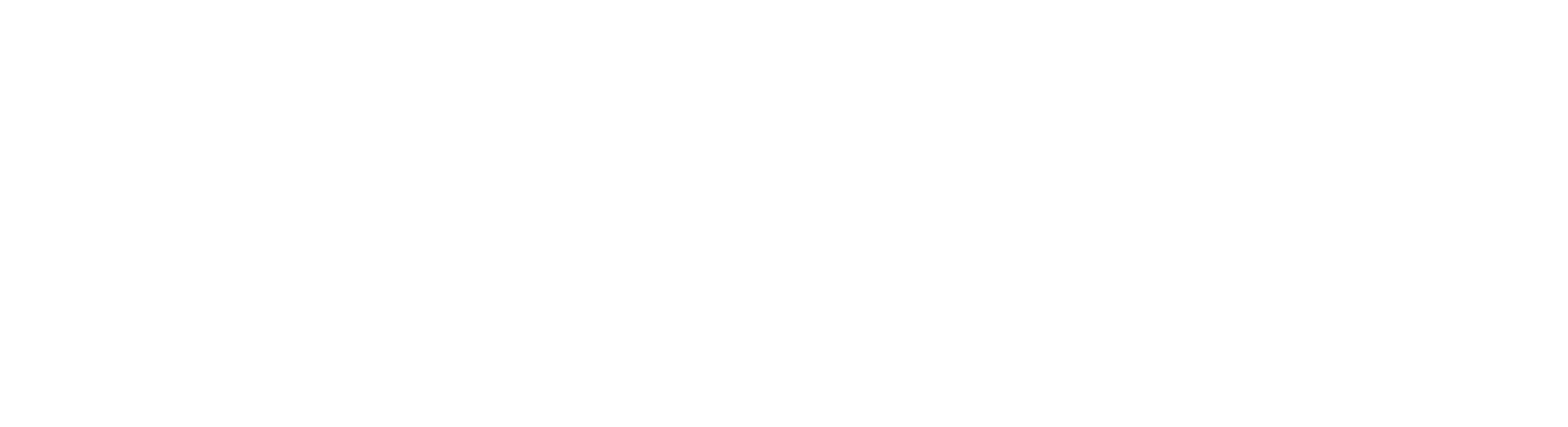geissele-logo-trans