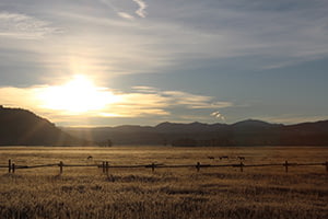 Prepare early for deer hunting season