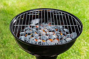 Gas grill hotsell charcoal briquettes