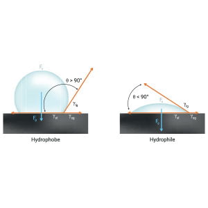 hydrophilic vs hydrophobic 