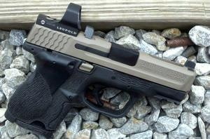 Leupold Red Dot Sight on S&W