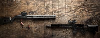 Vortex StrikeFire Red Dot Sights on Shotgun and AR