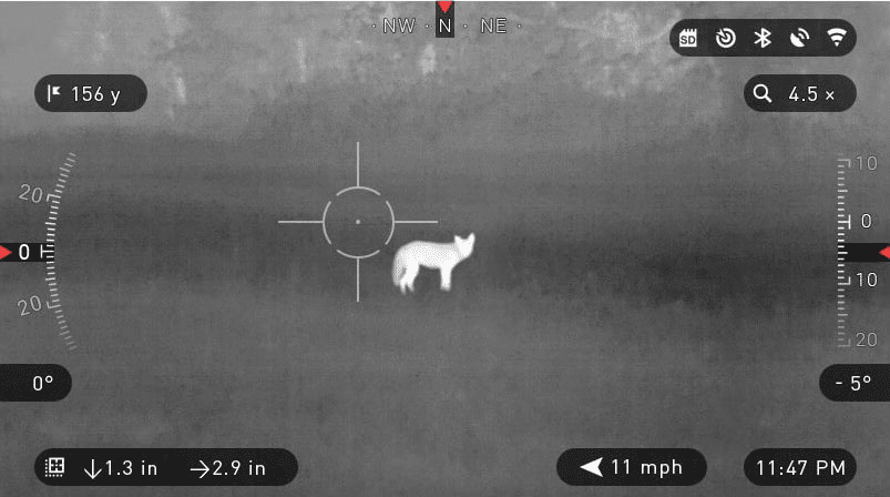 Black and White Image of a Coyote Through a Thermal Scope
