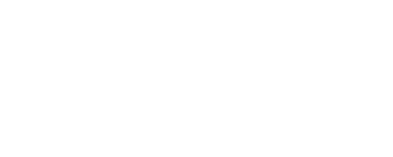 mdt--logo
