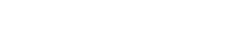 mdt--logo
