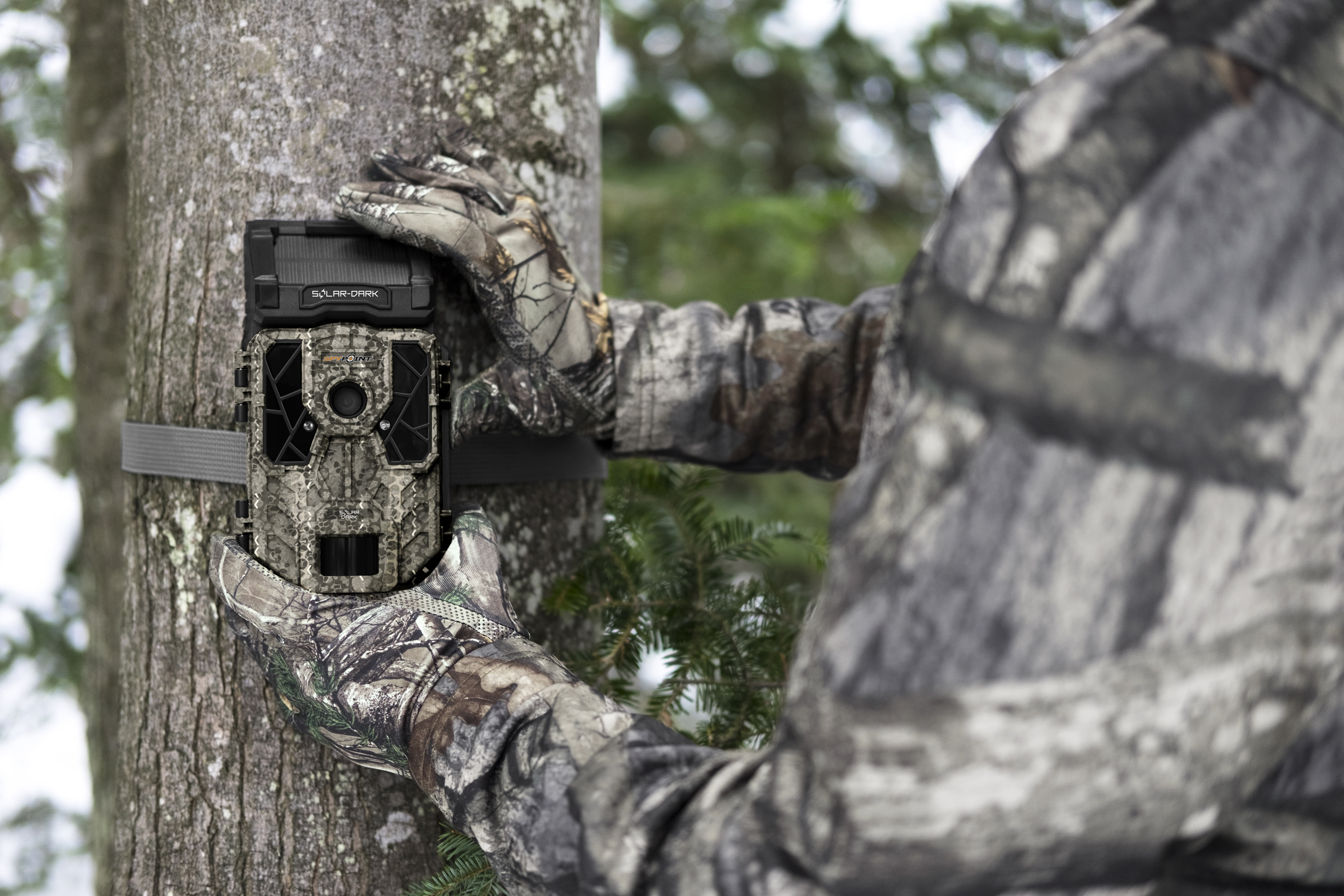 Man Setting up Trail Camera on a Tree