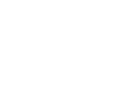 vortex-logo