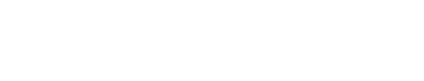 zaffiri-precision-logo-trans