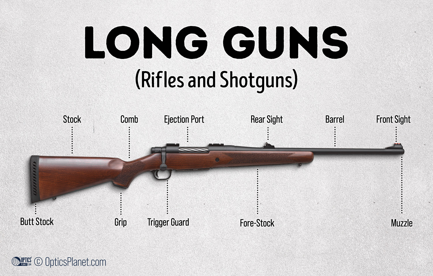 Gun Anatomy Basic Parts Infographics