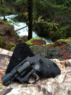 38 Special Revolver