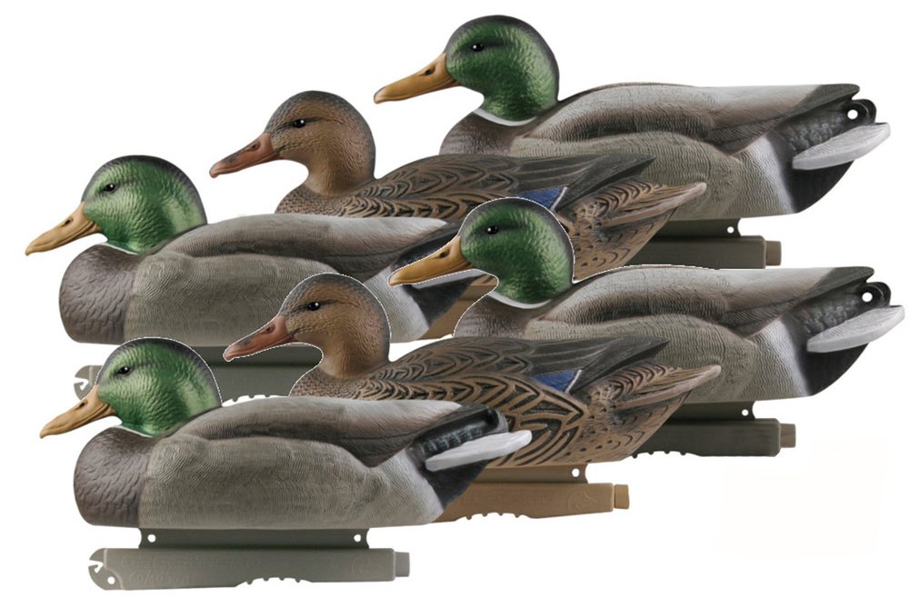 Avery ES Mallards Dozen
