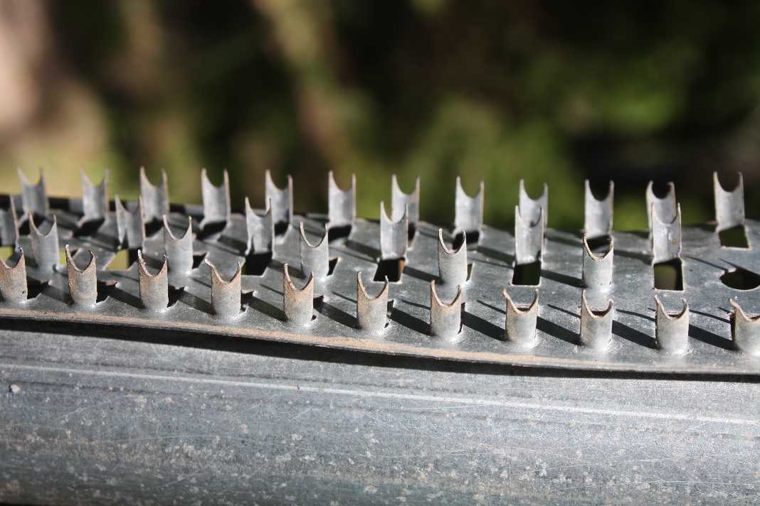 Boss Buck Shark Teeth 20 Off Free Shipping Over 49