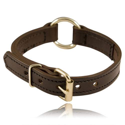 dog collar split rings