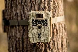Use a Trail Cam for Security