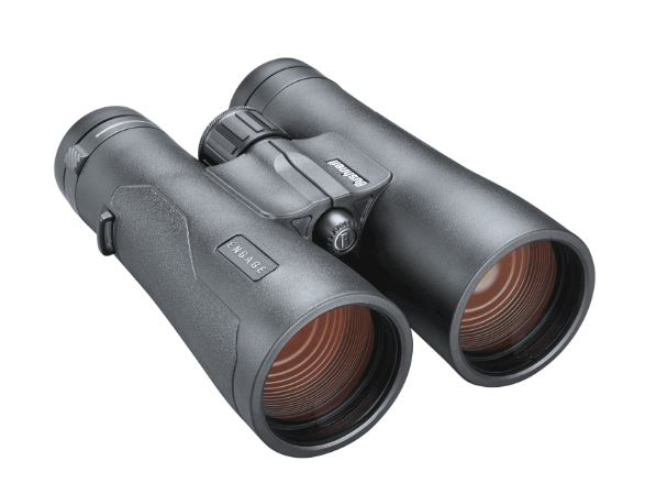 bushnell binoculars 12x50