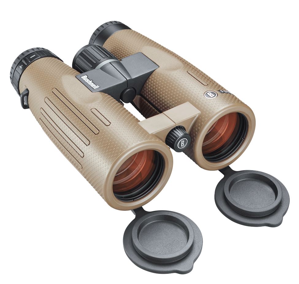 Bushnell Forge 10x42 Binoculars | 17 