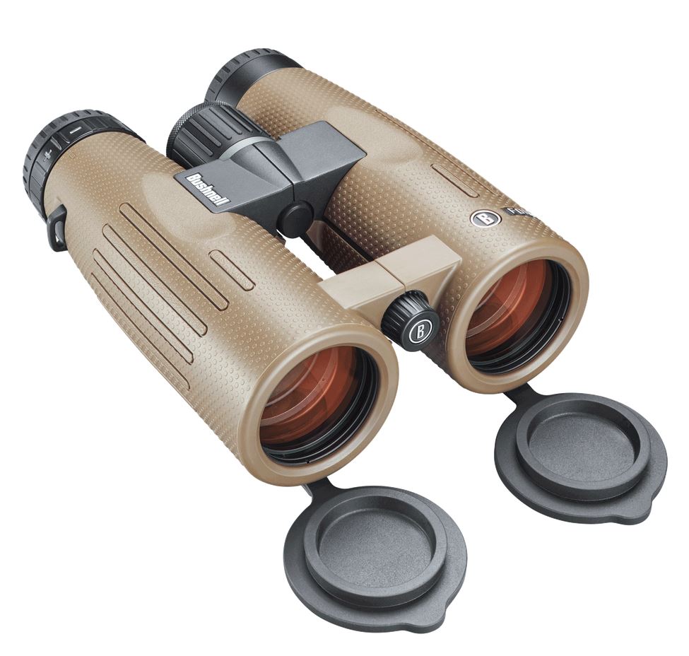 bushnell forge binoculars