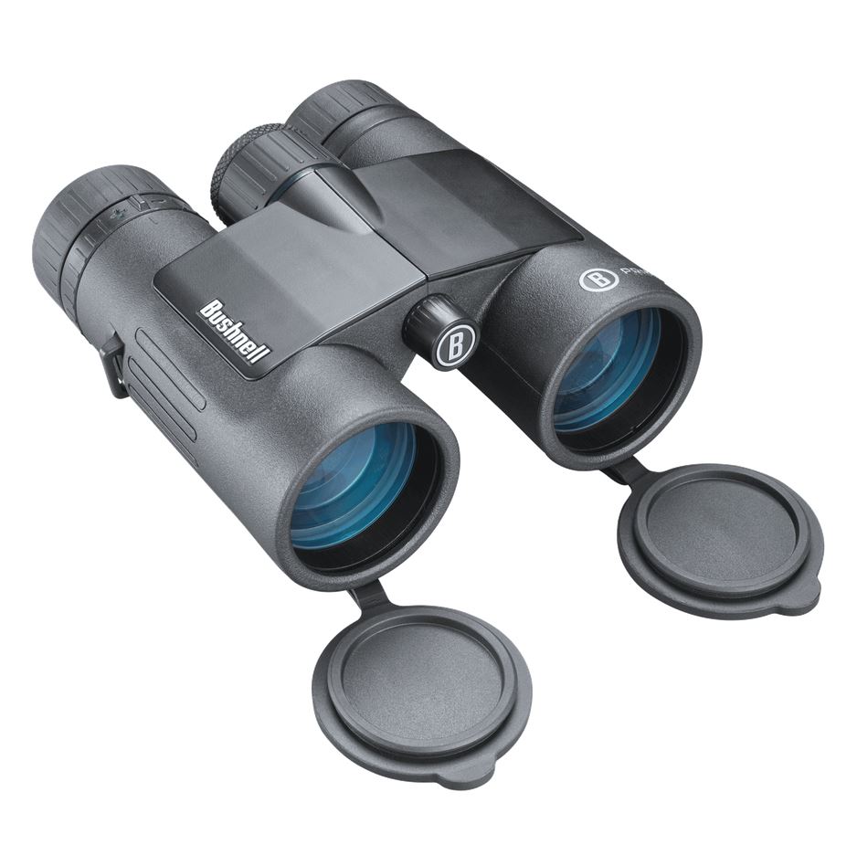 bushnell binoculars 8x42