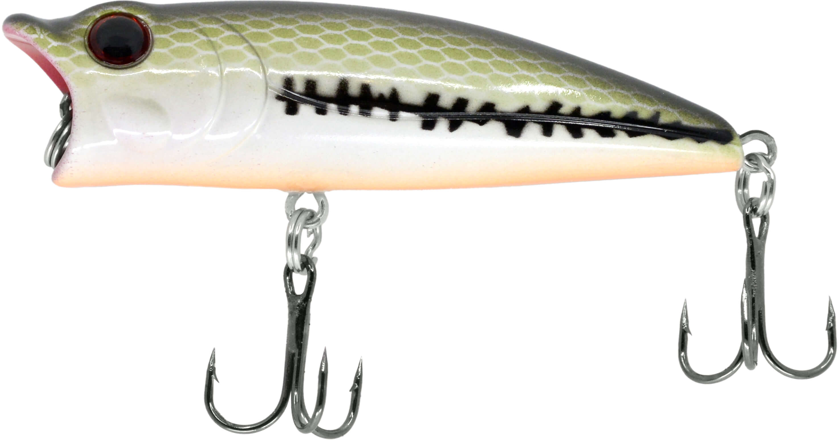 CHUBBS Topwater Popper  Free Shipping over $49!