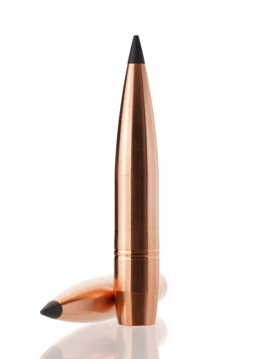 Cutting Edge Bullets Single Feed .416 Caliber 550 Grain Solid Copper Tipped Hollow Point Rifle Bullets