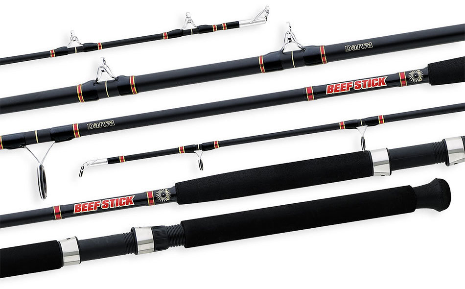 10' two piece Casting Rods
