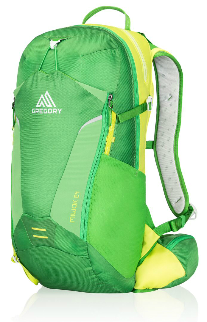 gregory miwok 24l backpack