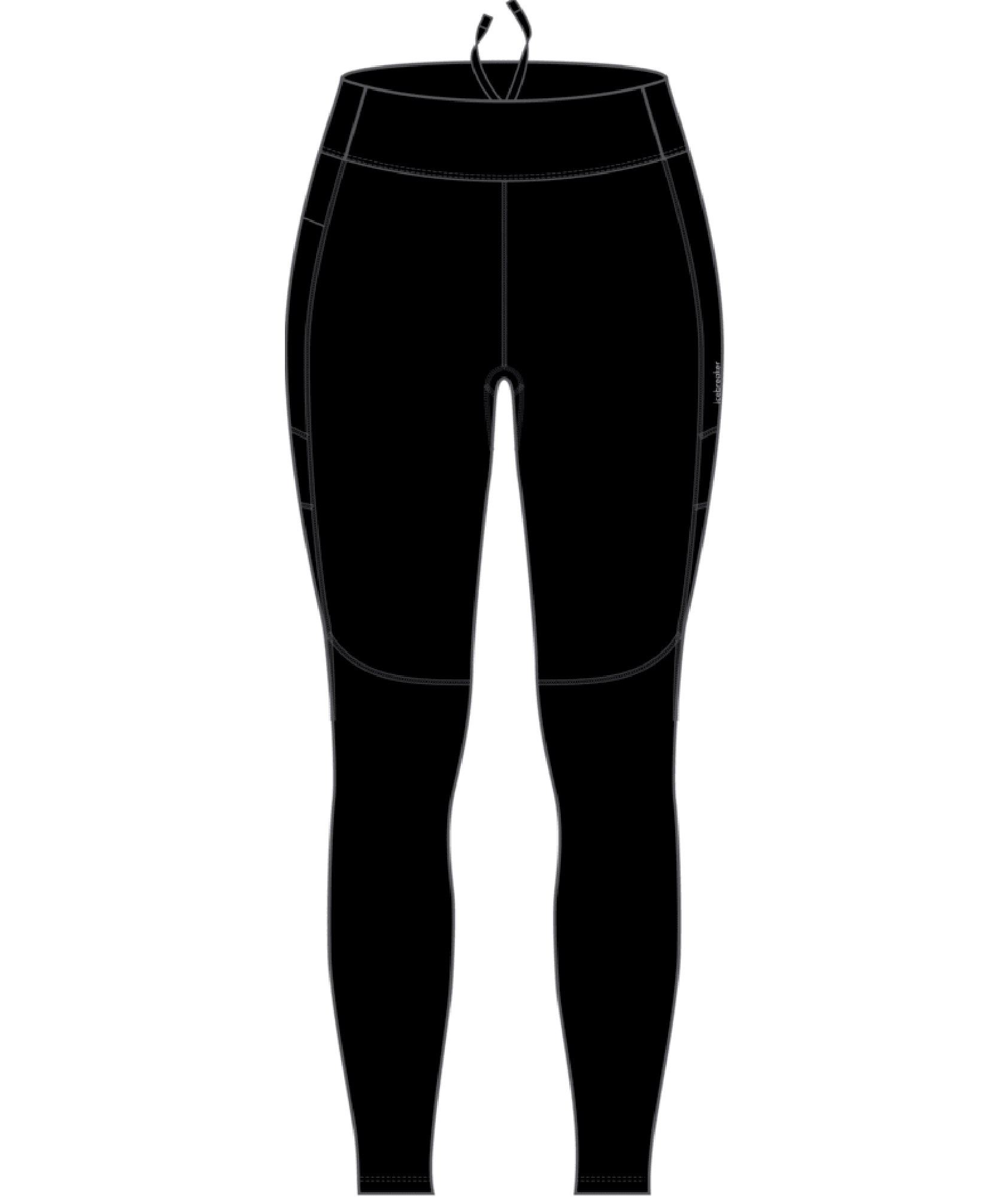 Icebreaker Speed Winter Tights - Women's  Up to 40% Off w/ Free Shipping  and Handling