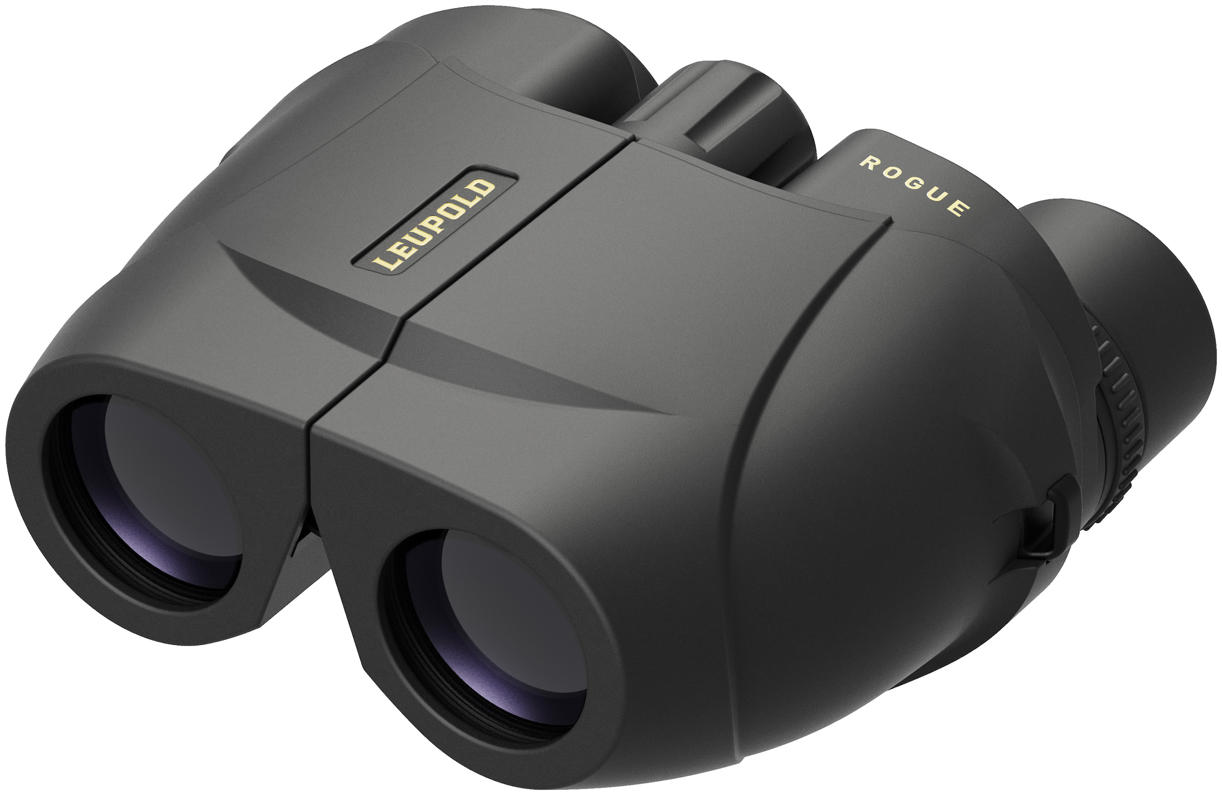 Leupold BX-1 Rogue 10x25mm Porro Prism Compact Waterproof Binoculars