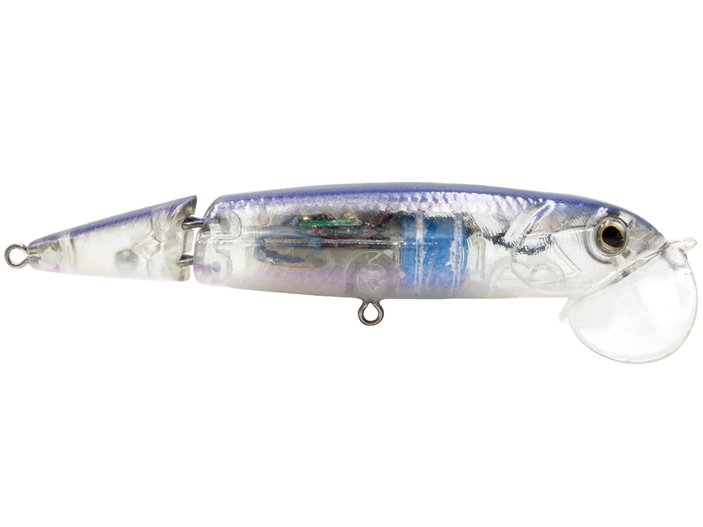 Livingston Lures 4in Walking Boss II Jr. Lures  Up to 16% Off 5 Star  Rating Free Shipping over $49!