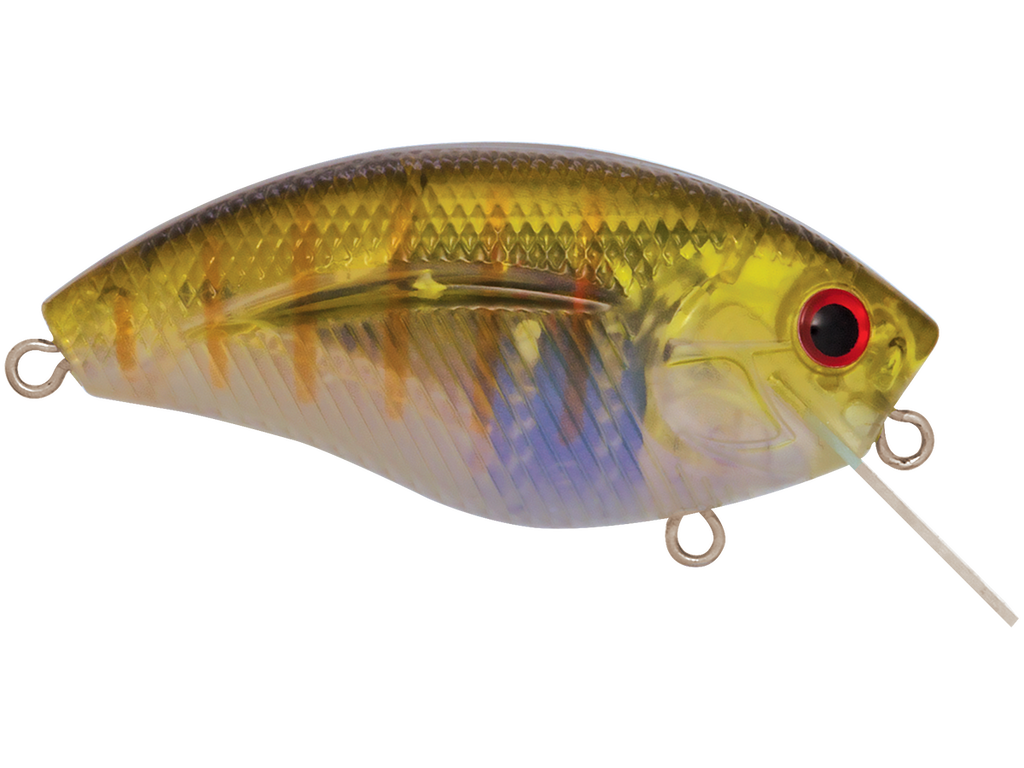 Livingston Lures Howeller DMC SQ Lures  Up to 10% Off 5 Star Rating Free  Shipping over $49!