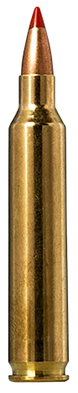 Norma .204 Ruger 40 grain V-MAX Brass Cased Rifle Ammunition